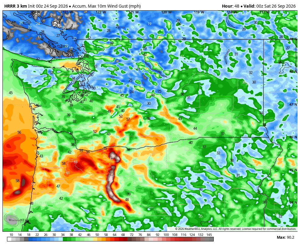 HRRR model showing predicted peak wind gusts by Friday afternoon across the Pacific Northwest.