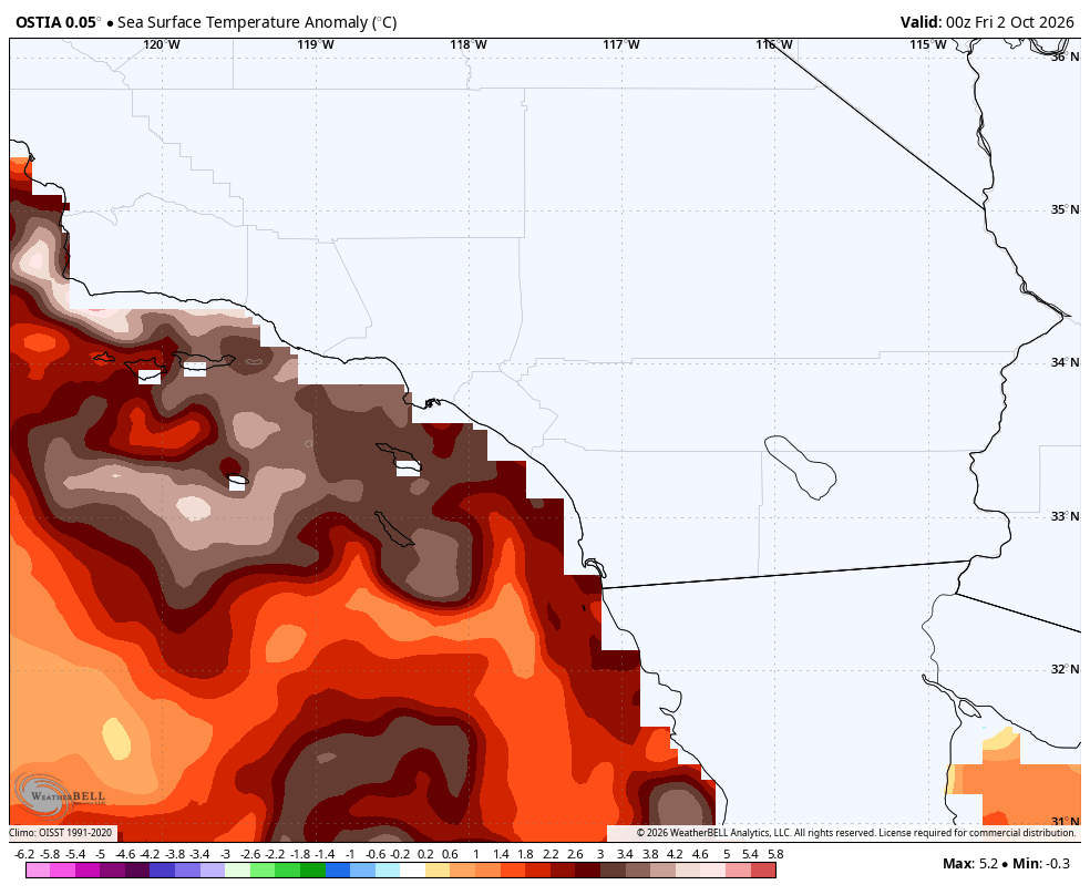 Zoomed in map of Southern California, showing current Sea Surface Temperature anomaly (in Celsius) and a warm "Kelvin Wave" that has reached the southern California coast.