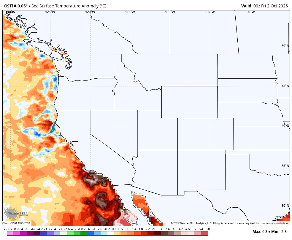 Map showing current Sea Surface Temperature anomaly (in Celsius) and a warm "Kelvin Wave" that has reached the southern California coast.
